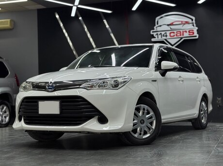 Toyota Corolla Fielder