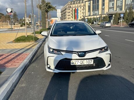 Toyota Corolla 2024