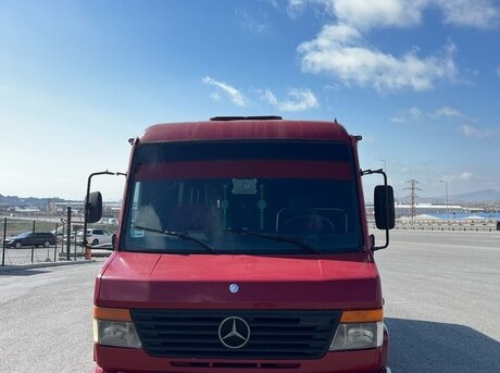 Mercedes Vario