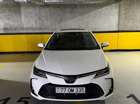 Toyota Corolla 2024