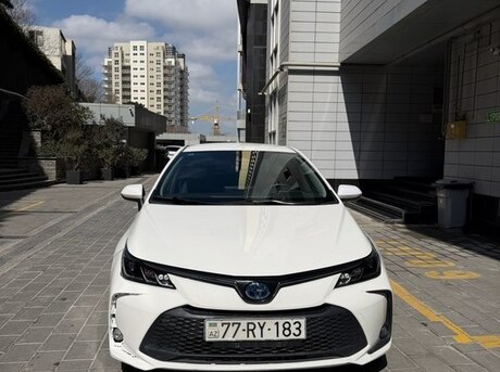 Toyota Corolla 2024