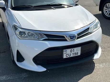Toyota Corolla Fielder 2019