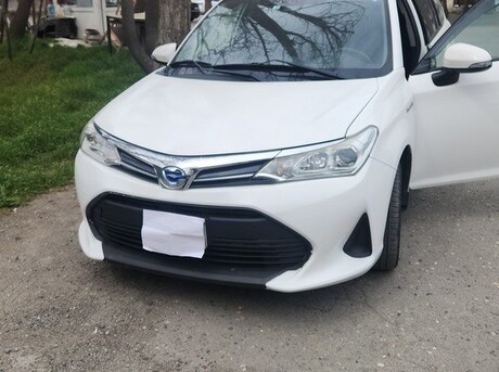 Toyota Corolla Fielder 2019