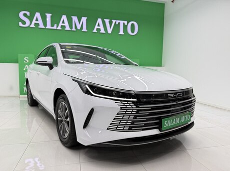 BYD Destroyer 05