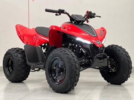 CFMOTO CFORCE 110