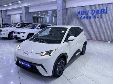 BYD Seagull