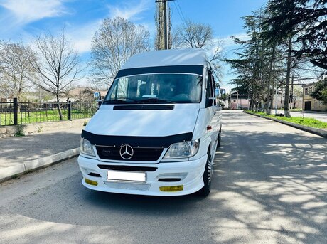 Mercedes Sprinter 313