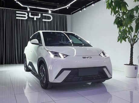 BYD Seagull