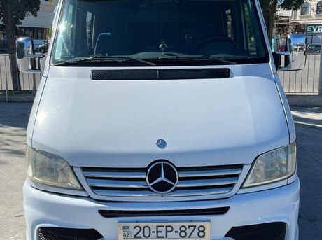 Mercedes Sprinter 313