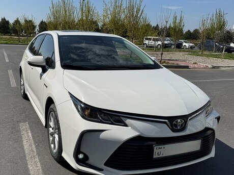 Toyota Corolla 2023