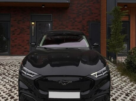 Ford Mustang Mach-E