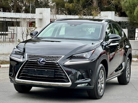 Lexus NX 300h