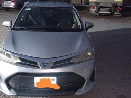 Toyota Corolla Fielder
