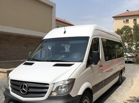 Mercedes Sprinter 313