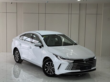 BYD Destroyer 05