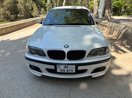 BMW 318