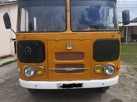 PAZ 3204