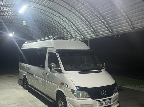 Mercedes Sprinter 313