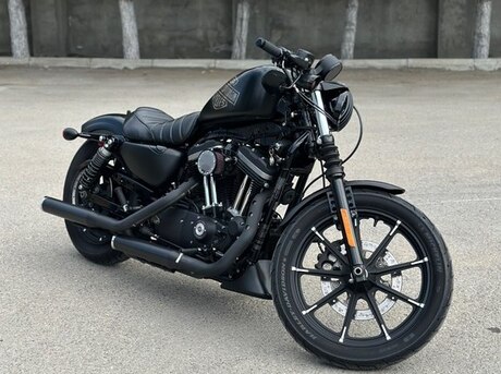 Harley-Davidson XL883N Sportster Iron 883