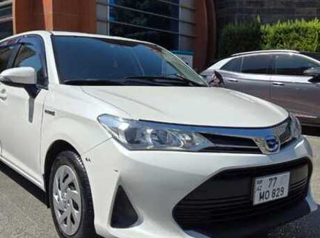 Toyota Corolla Fielder