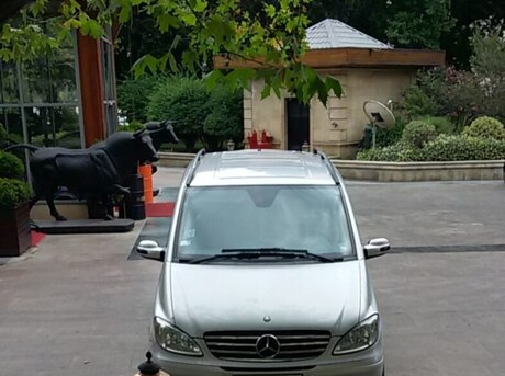 Mercedes Viano