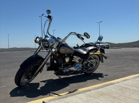Harley-Davidson FLSTN Softail Deluxe