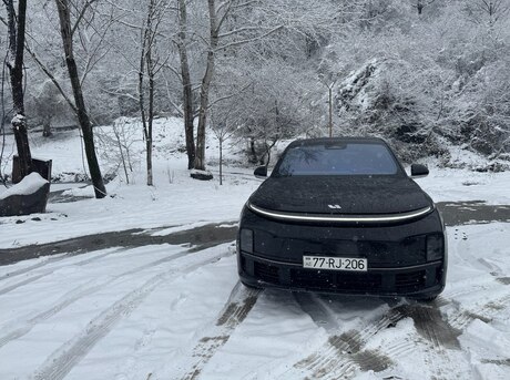 Li Auto L7