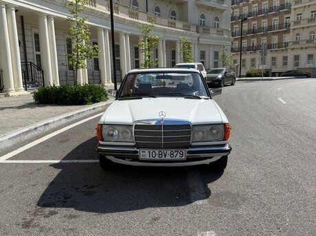 Mercedes W123