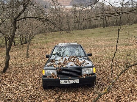 Mercedes 190