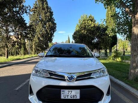 Toyota Corolla Fielder