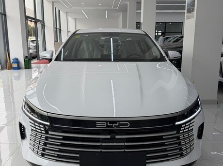 BYD Destroyer 05