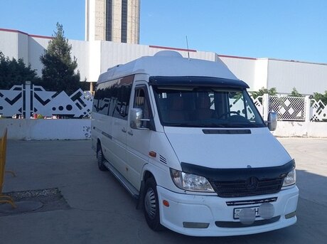 Mercedes Sprinter 313