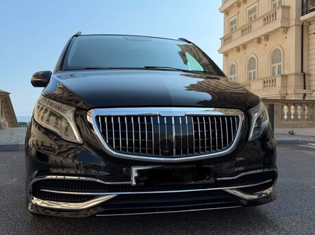Mercedes Viano