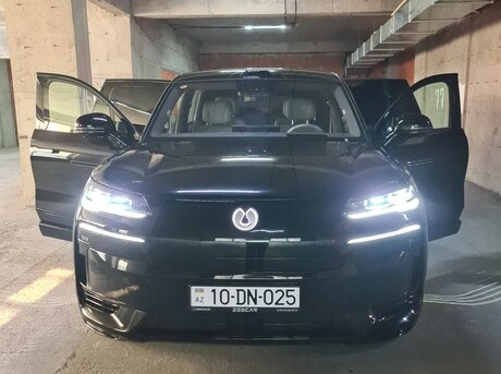 Denza N9