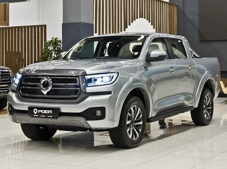 GWM (Great Wall Motor) Poer