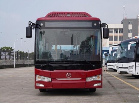 Golden Dragon City Bus