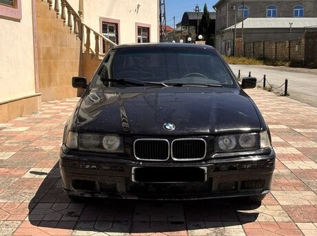 BMW 316