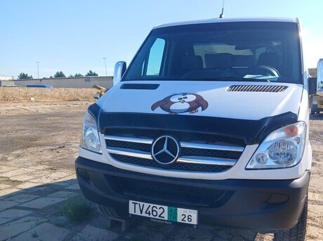 Mercedes Sprinter 313