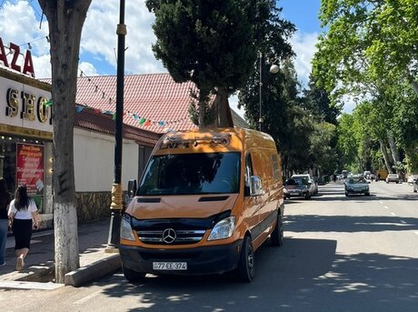 Mercedes Sprinter 313
