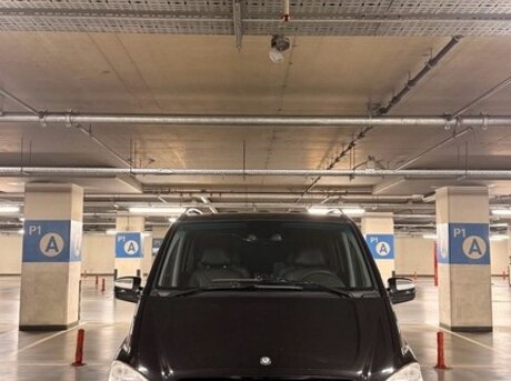 Mercedes Viano