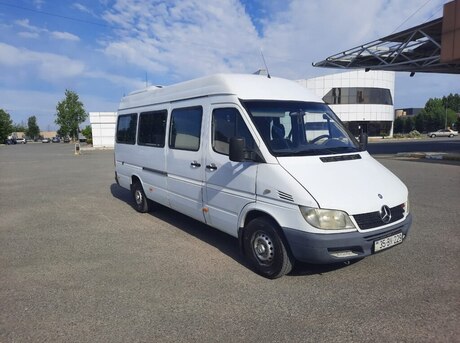 Mercedes Sprinter 313