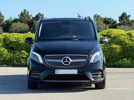 Mercedes Viano