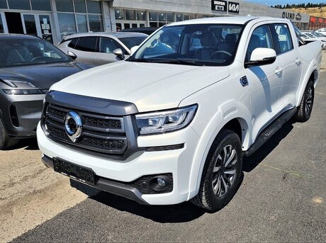 GWM (Great Wall Motor) Poer