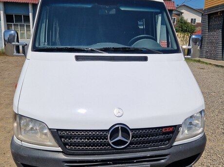 Mercedes Sprinter 412