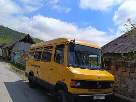 Mercedes 609 D