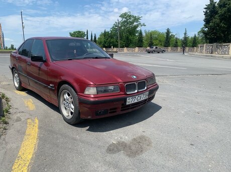 BMW 318
