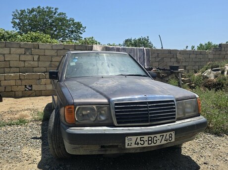 Mercedes 190