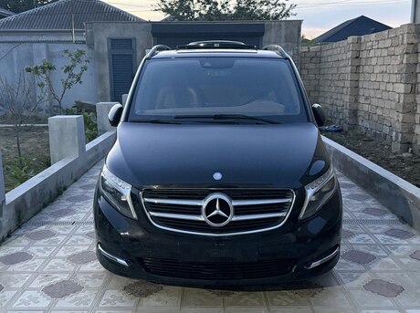Mercedes Viano
