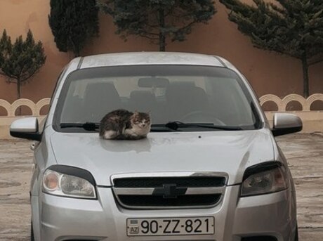 Chevrolet Aveo