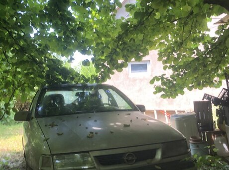 Opel Vectra